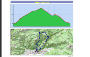 Marche Nordique à Cuges-les-Pins dans le cadre de la 11ème édition du Téléthon